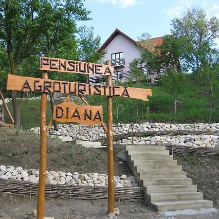 Pensiunea Agroturistica Diana Măgura Extérieur photo