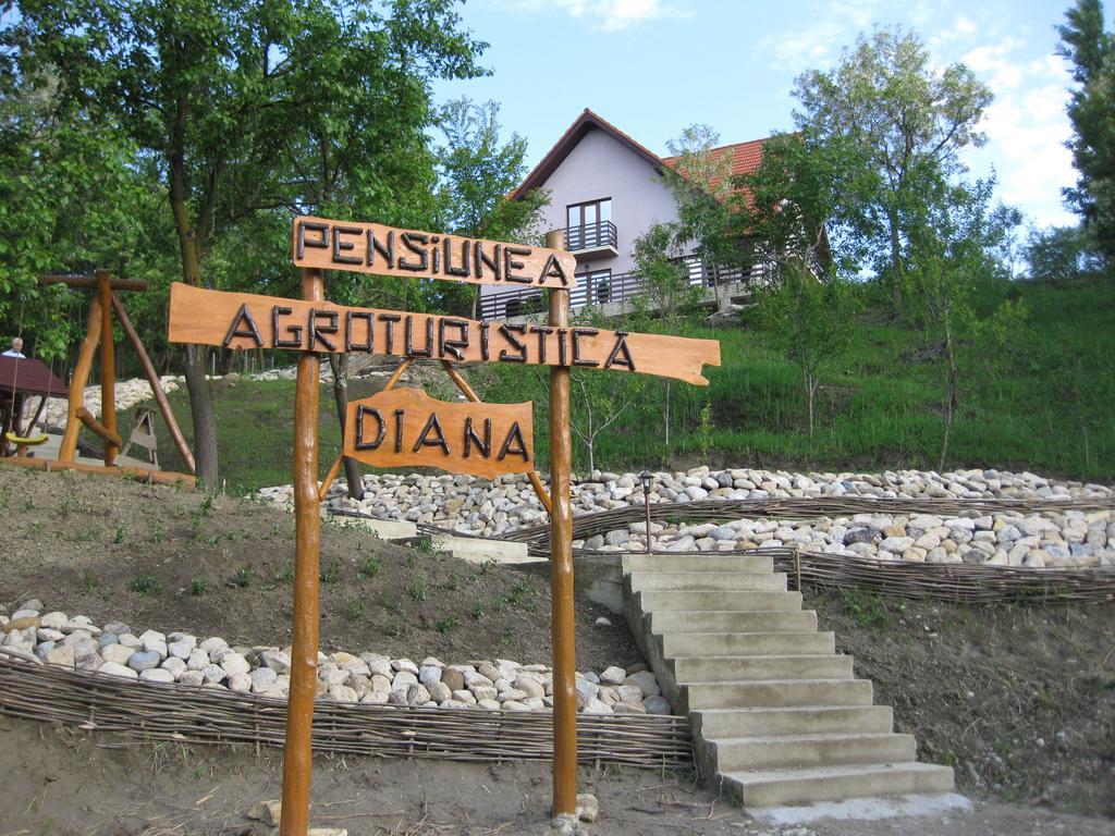 Pensiunea Agroturistica Diana Măgura Extérieur photo
