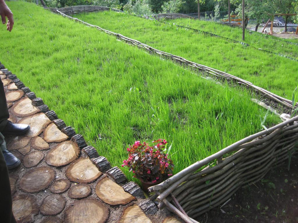 Pensiunea Agroturistica Diana Măgura Extérieur photo