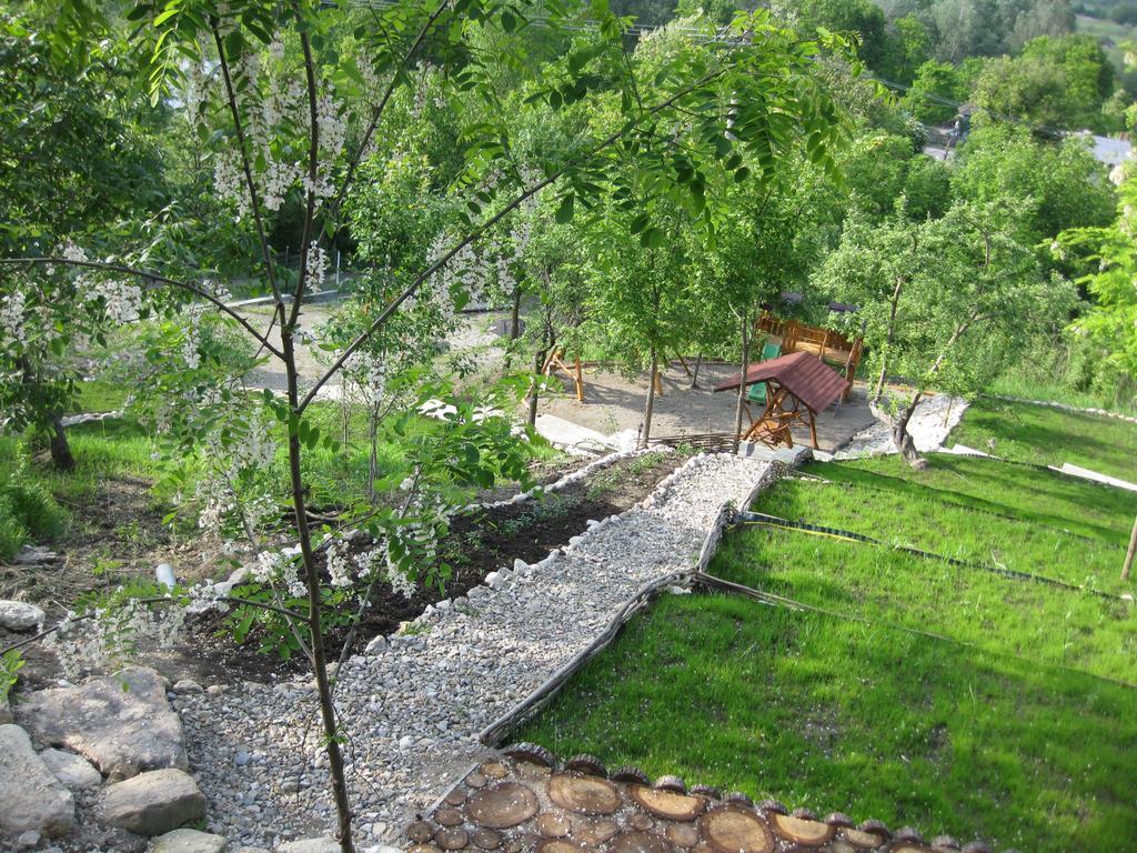 Pensiunea Agroturistica Diana Măgura Extérieur photo