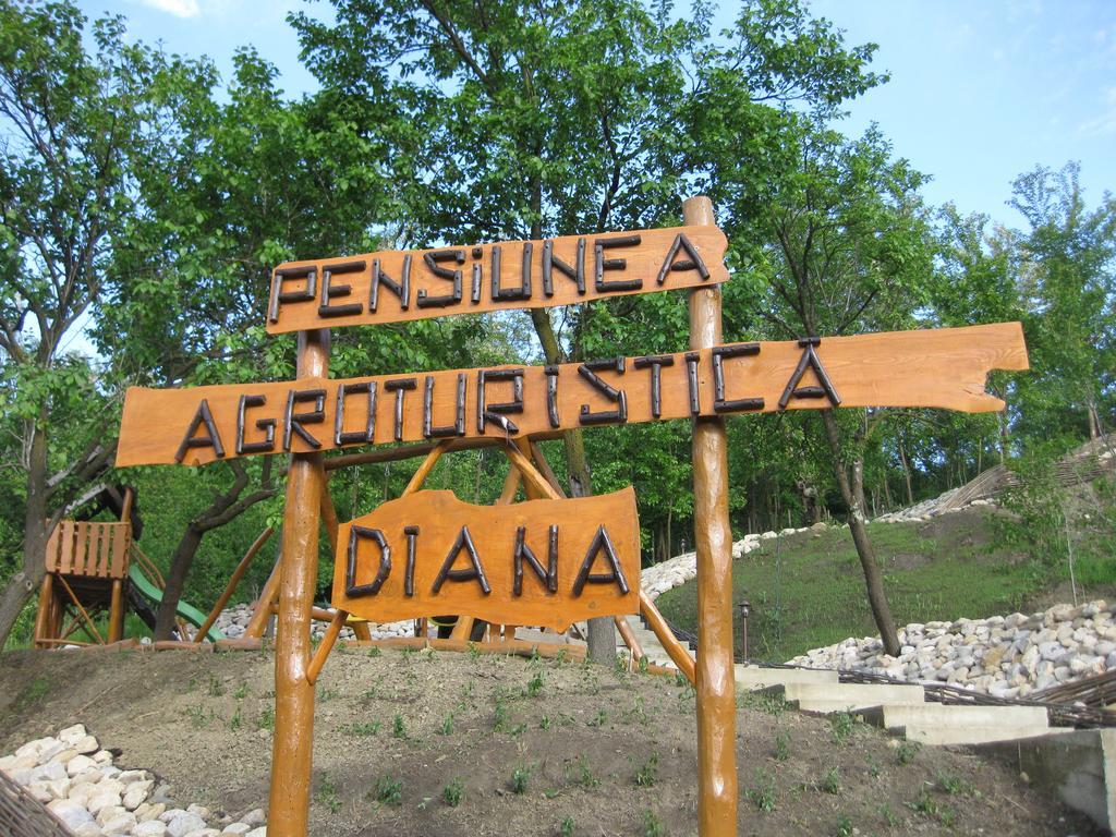 Pensiunea Agroturistica Diana Măgura Extérieur photo